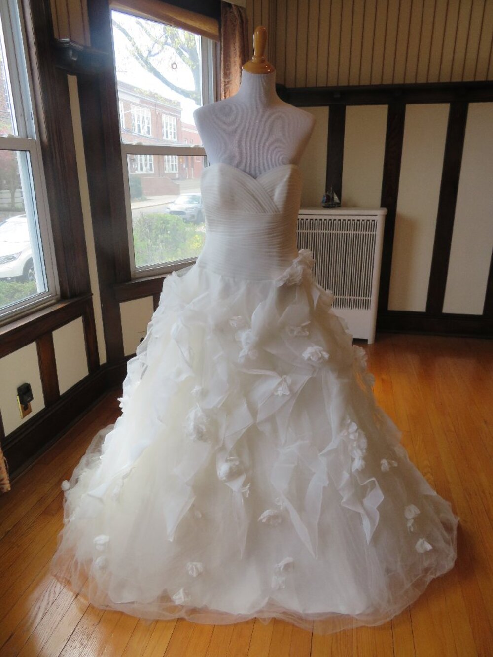 Pronovias Wedding Dress